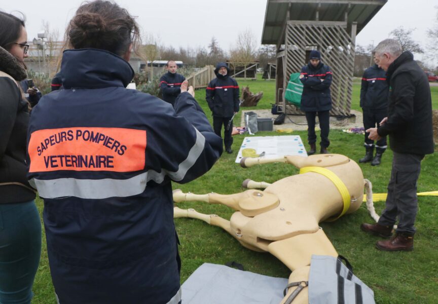Centre départemental de formation - Entrainement au secours animalier
