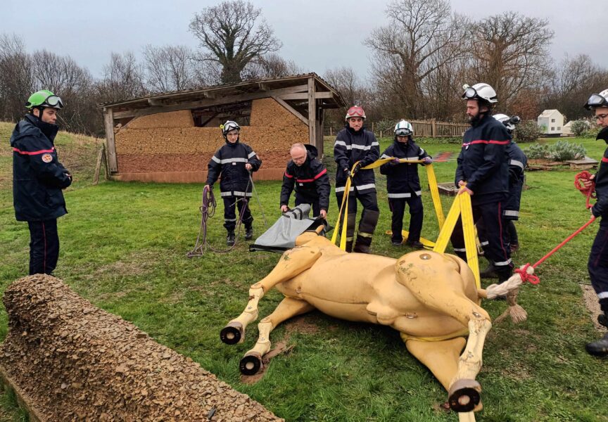 centre départemental de formation - entraînement au secours animalier